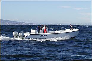 35 ft Power Cat