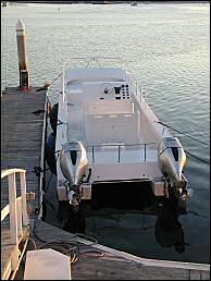 35 power cat
